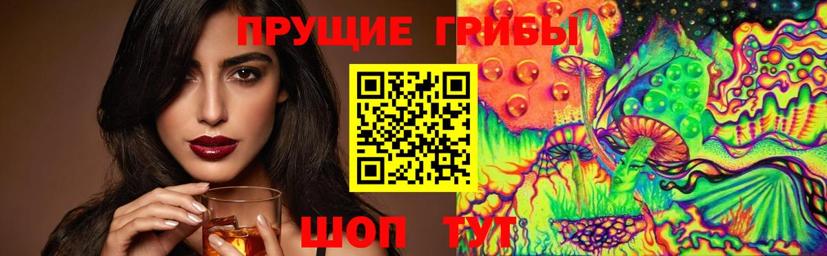 Псилоцибиновые грибы Psilocybe  Вход с VPN  Абакан 